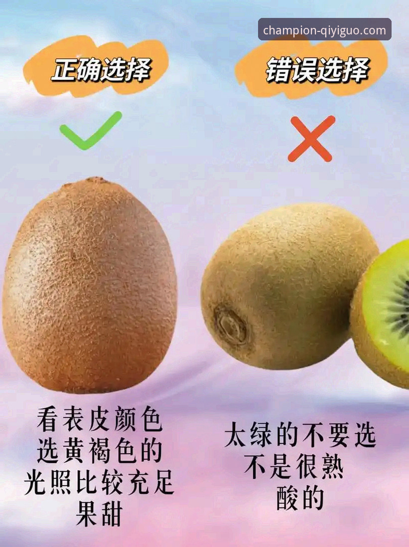 掌握奇异果体育高清画质最新版的关键技巧与实用指南