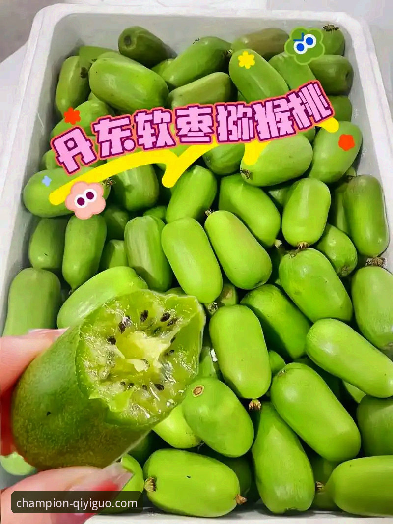 资深用户分享奇异果体育官网最新版本使用指南：从下载到实战的完整心得